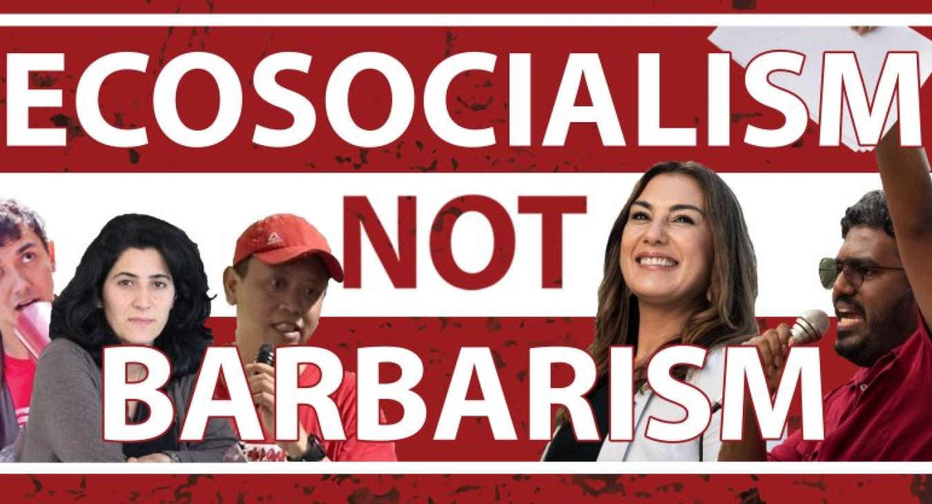 Ecosocialism 2025 graphic 2
