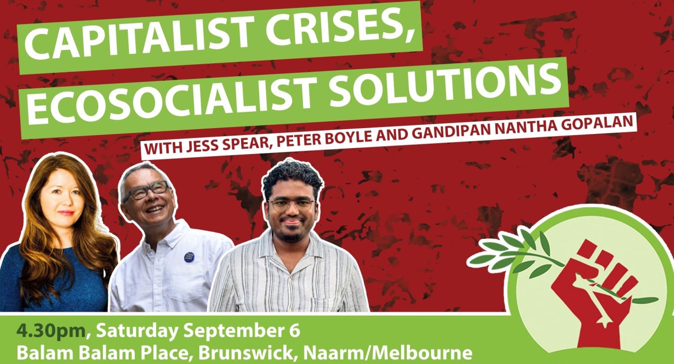 Capitalist crises, ecosocialist solutions 