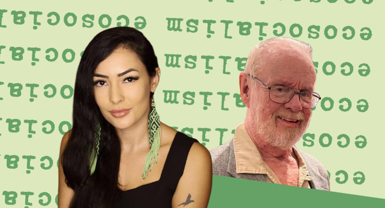 Ecosocialist perspectives