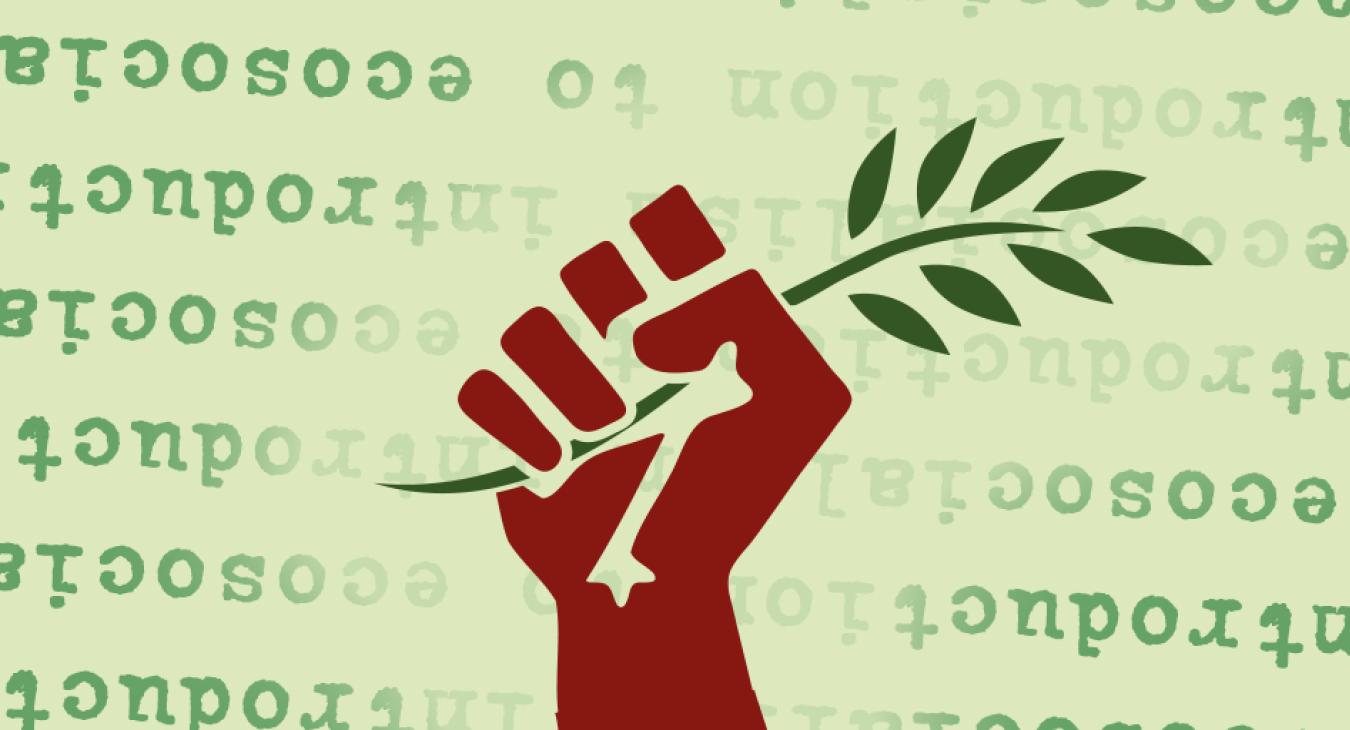 Introduction to Ecosocialism and Socialist Alliance